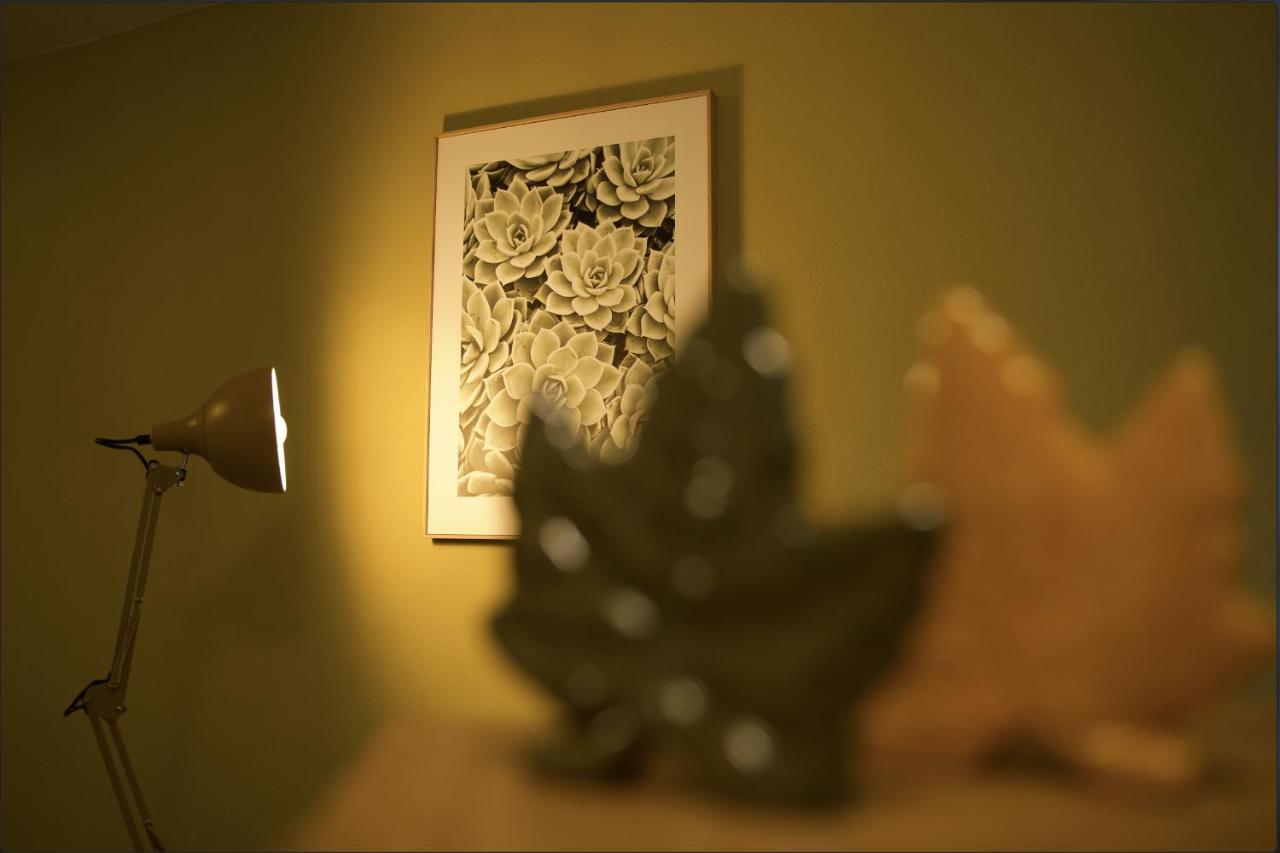 Apartman Terra Centar, Free Parking オシエク エクステリア 写真